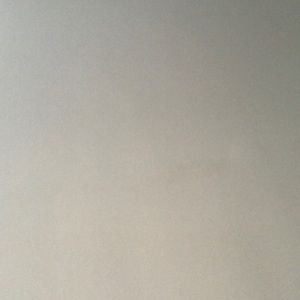 Meet your Posher, Daniela